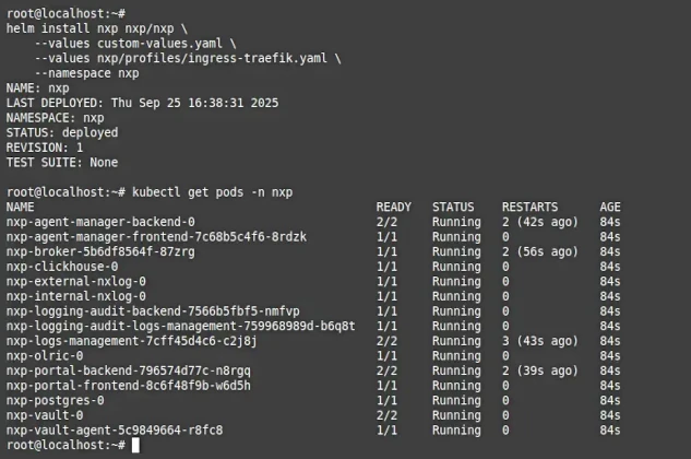 Deploying NXLog Platform to Kubernetes using Helm