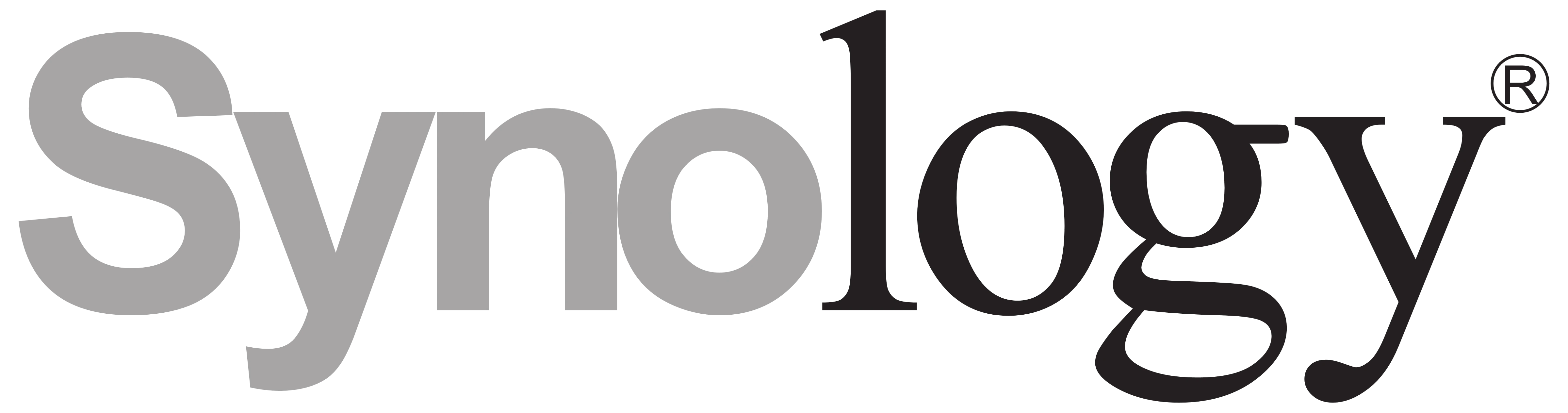 Synology Logo